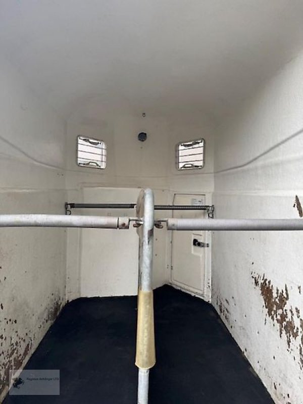 PKW-Anhänger des Typs Böckmann Classic 2-Pferdeanhänger Vollpoly Sattelkammer 2t., Gebrauchtmaschine in Gevelsberg (Bild 5)