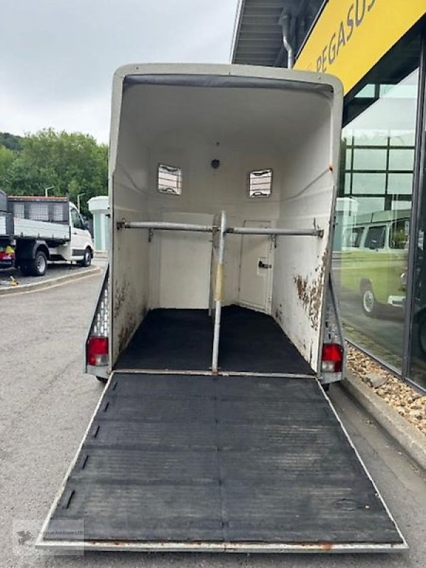 PKW-Anhänger des Typs Böckmann Classic 2-Pferdeanhänger Vollpoly Sattelkammer 2t., Gebrauchtmaschine in Gevelsberg (Bild 4)