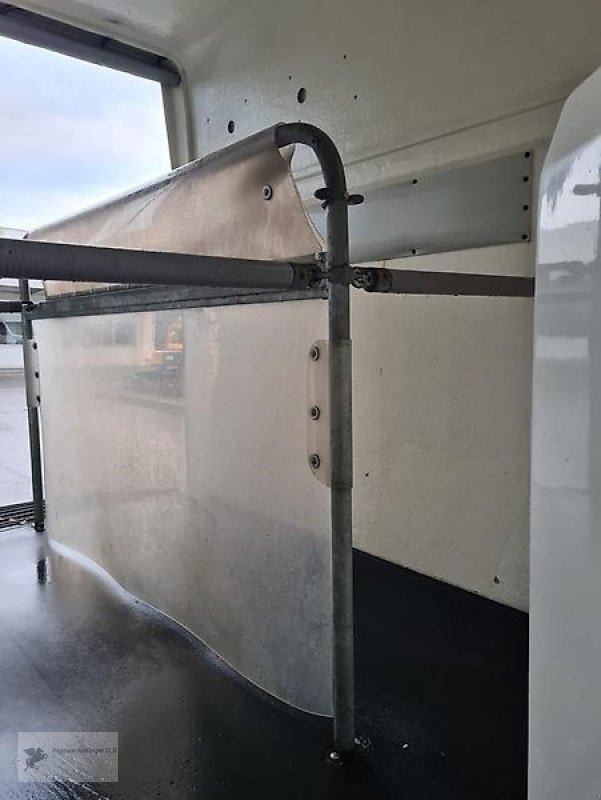 PKW-Anhänger des Typs Böckmann Comfort 2-Pferdeanhänger 100 km/H SK, Gebrauchtmaschine in Gevelsberg (Bild 8)