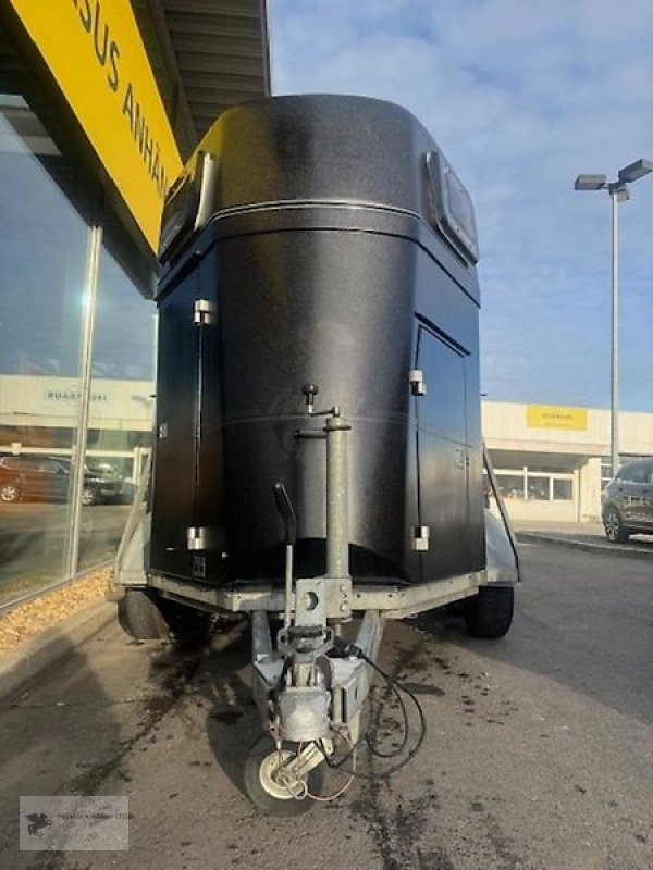 PKW-Anhänger des Typs Böckmann Comfort 2-Pferdeanhänger Aluboden 2t. Vollpoly SK, Gebrauchtmaschine in Gevelsberg (Bild 2)