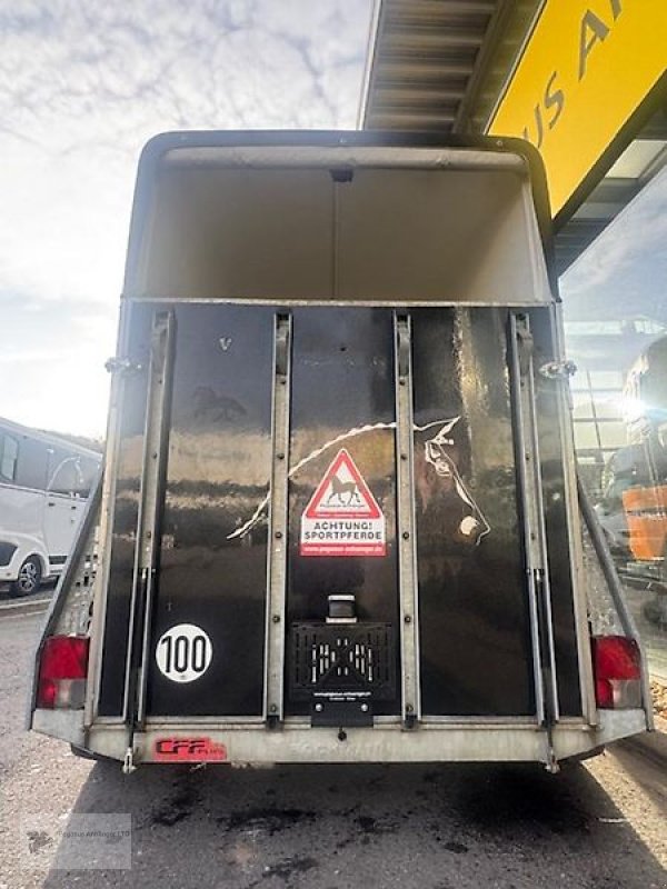 PKW-Anhänger des Typs Böckmann Comfort 2-Pferdeanhänger Aluboden 2t. Vollpoly SK, Gebrauchtmaschine in Gevelsberg (Bild 3)