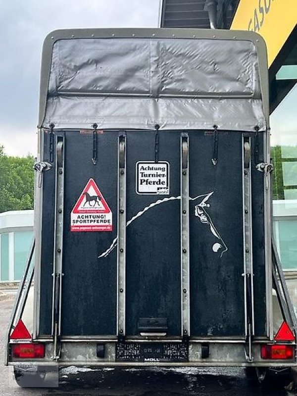 PKW-Anhänger typu Böckmann Comfort 2t 2-Pferdeanhänger SK, Gebrauchtmaschine v Gevelsberg (Obrázek 4)