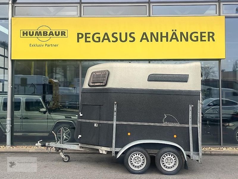 PKW-Anhänger typu Böckmann Comfort Vollpoly 2-Pferdeanhänger SK 2t., Gebrauchtmaschine v Gevelsberg (Obrázek 3)
