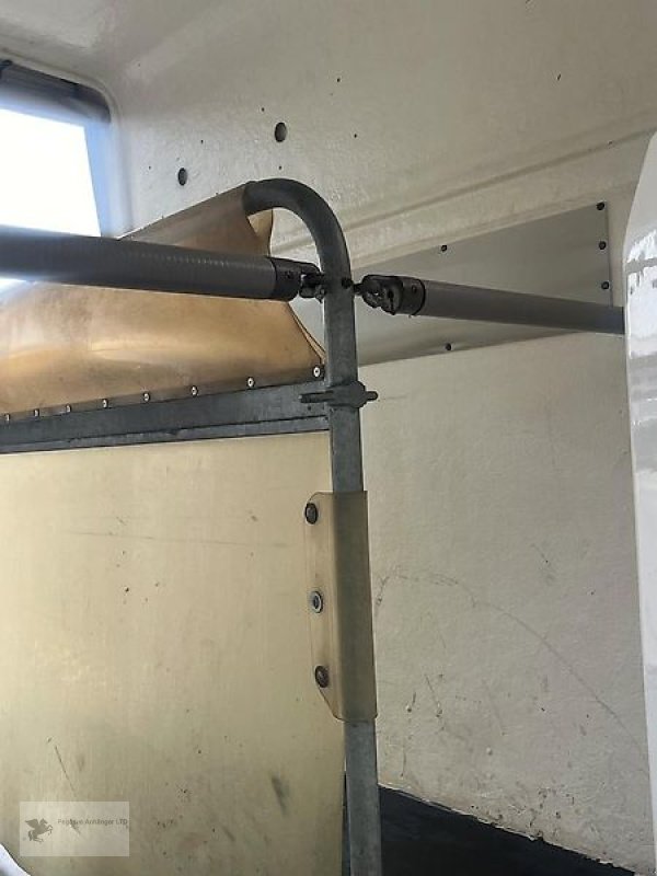 PKW-Anhänger van het type Böckmann Comfort Vollpoly 2-Pferdeanhänger SK 2t., Gebrauchtmaschine in Gevelsberg (Foto 6)