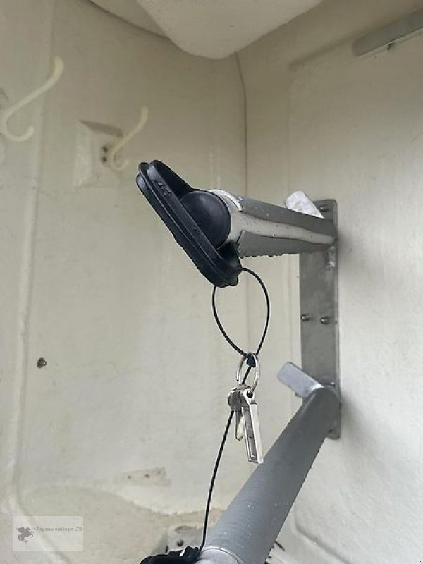 PKW-Anhänger van het type Böckmann Comfort Vollpoly 2-Pferdeanhänger SK 2t., Gebrauchtmaschine in Gevelsberg (Foto 7)