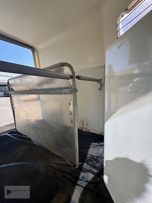 PKW-Anhänger des Typs Böckmann DUO 2-Pferdeanhänger 2t. Sattelkammer Holz/ Poly, Gebrauchtmaschine in Gevelsberg (Bild 7)