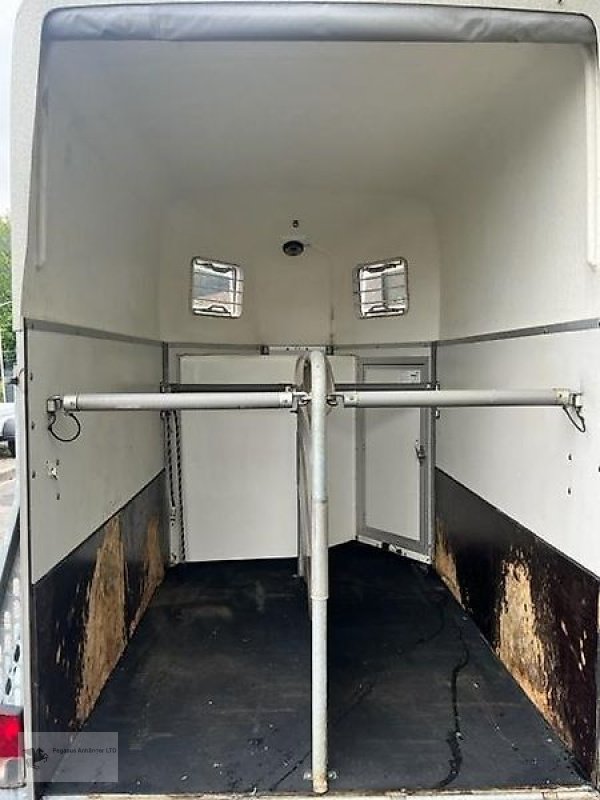 PKW-Anhänger des Typs Böckmann Duo 2-Pferdeanhänger 2t SK Viehanhänger Pferdetransport, Gebrauchtmaschine in Gevelsberg (Bild 7)