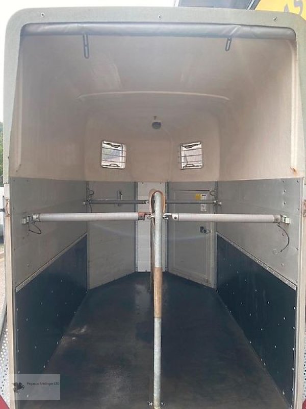 PKW-Anhänger des Typs Böckmann DUO Kutschenanhänger 2,7t 2-Pferdeanhänger, Gebrauchtmaschine in Gevelsberg (Bild 10)