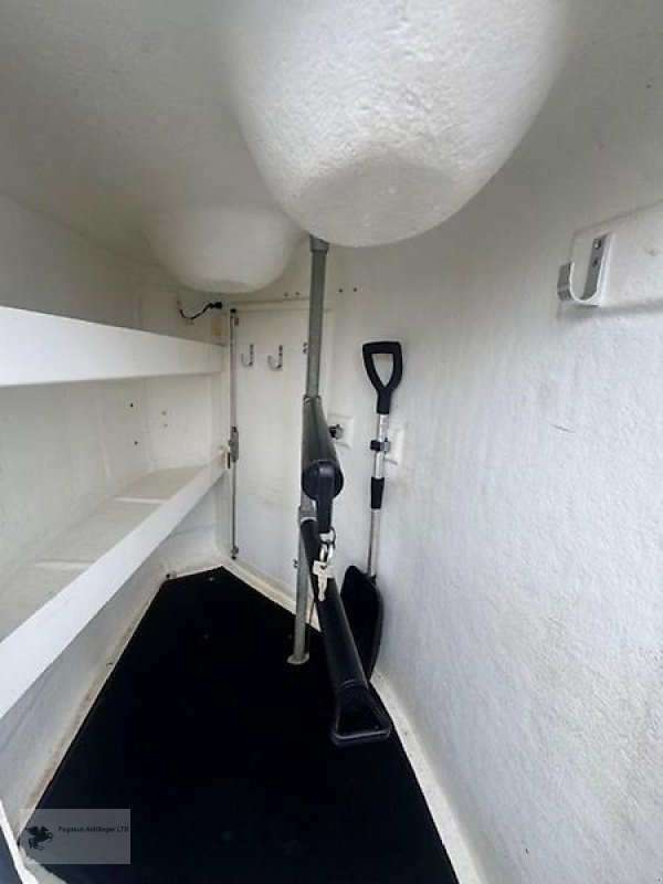 PKW-Anhänger des Typs Böckmann XL 2 Pferdeanhänger WCF Fahrwerk Aluboden Vollpoly 2,4t, Gebrauchtmaschine in Gevelsberg (Bild 8)