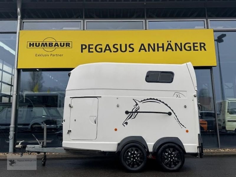 PKW-Anhänger Türe ait Böckmann XL 2 Pferdeanhänger WCF Fahrwerk Aluboden Vollpoly 2,4t, Gebrauchtmaschine içinde Gevelsberg