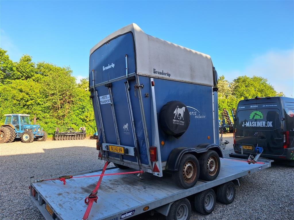 PKW-Anhänger des Typs Brenderup 33 K HESTETRAILER, Gebrauchtmaschine in Rødekro (Bild 2)