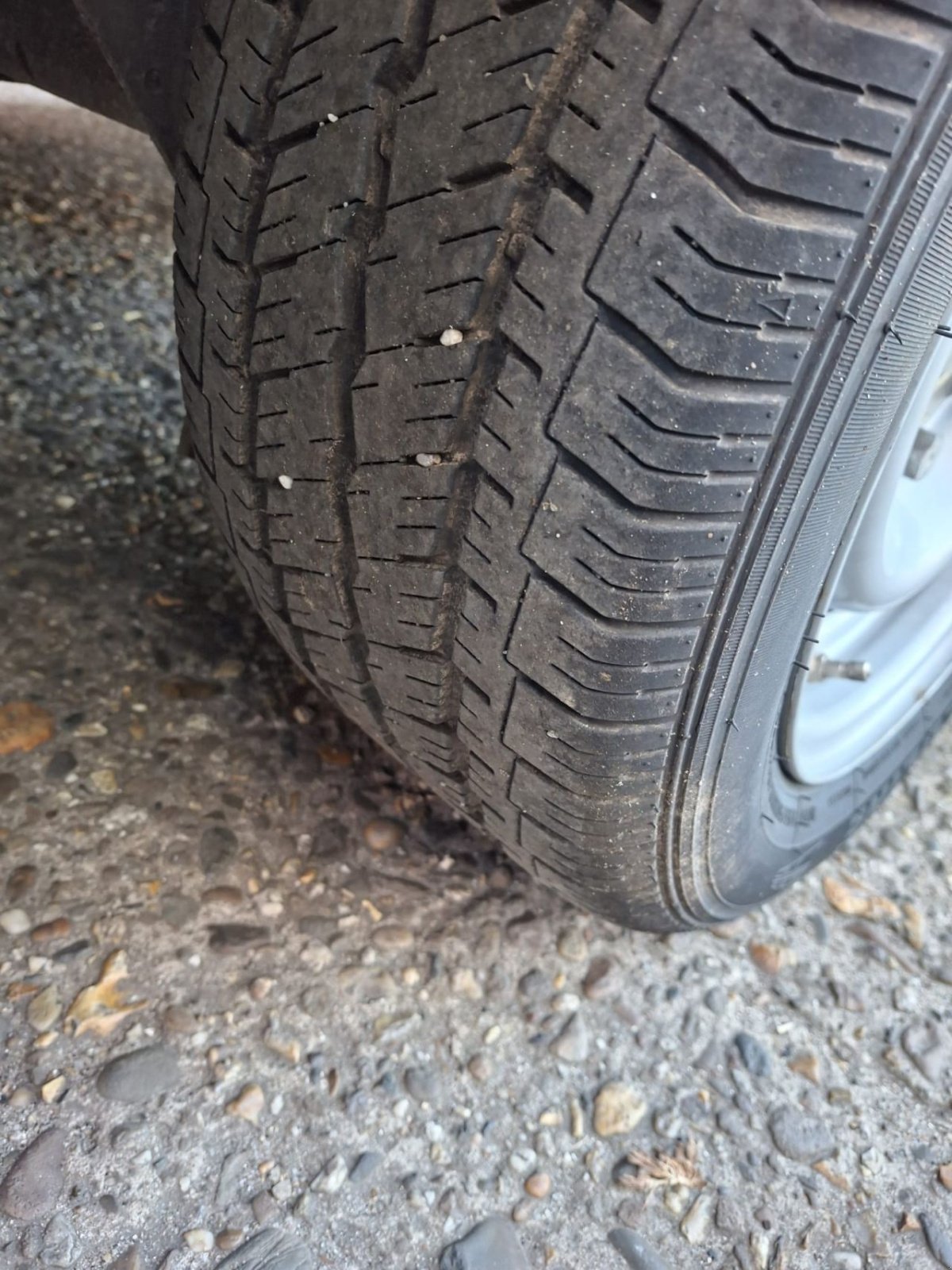 PKW-Anhänger des Typs Hapert TA, Gebrauchtmaschine in Maartensdijk (Bild 7)