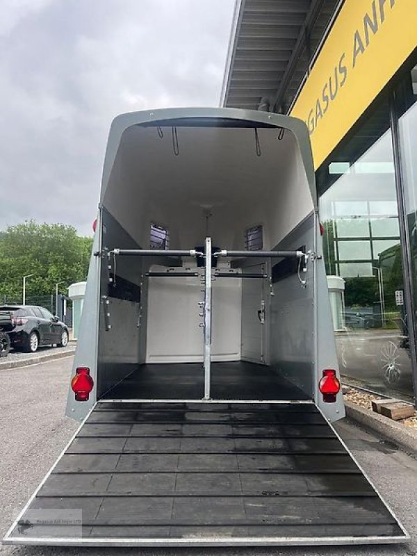 PKW-Anhänger des Typs Humbaur Equitos Alu-Plus 2t. SK Shettyumbau, Gebrauchtmaschine in Gevelsberg (Bild 7)