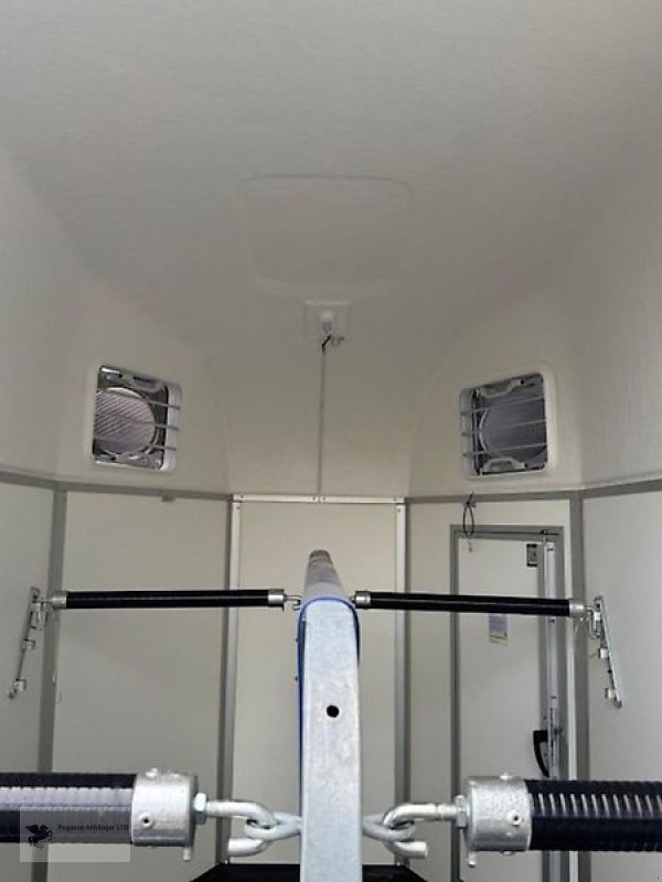 PKW-Anhänger des Typs Humbaur Equitos Plywood Pferdeanhänger Aluboden Sonderaktion NEU, Neumaschine in Gevelsberg (Bild 4)