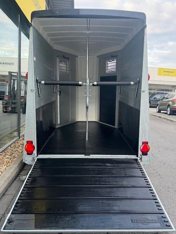 PKW-Anhänger del tipo Humbaur Notos Alu Frontausstieg Pferdeanhänger 2,4t NEU DS-Klappe, Neumaschine In Gevelsberg (Immagine 4)