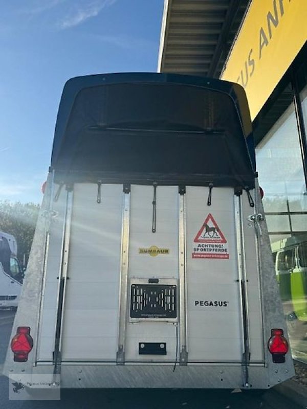 PKW-Anhänger des Typs Humbaur Pegasus 2 Pferdeanhänger 2,4t ALU NEU Sattelkammer, Neumaschine in Gevelsberg (Bild 3)