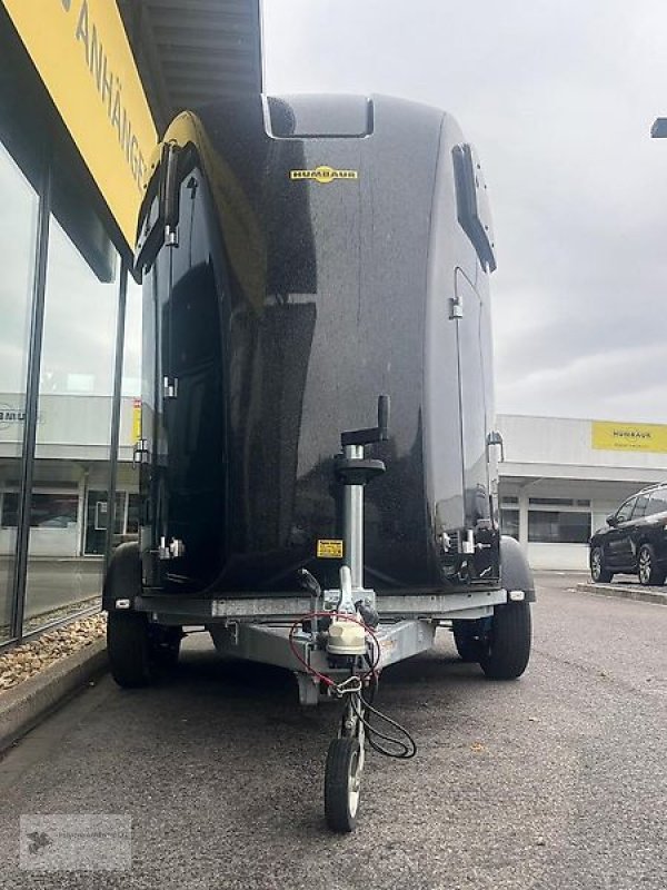 PKW-Anhänger del tipo Humbaur Pegasus 2 Pferdeanhänger 2,4t Alu Panoramafenster SK, Gebrauchtmaschine In Gevelsberg (Immagine 2)