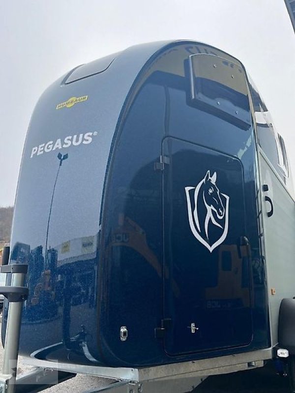 PKW-Anhänger Türe ait Humbaur Pegasus 2-Pferdeanhänger 2,4t Neu SK 2025, Gebrauchtmaschine içinde Gevelsberg (resim 11)