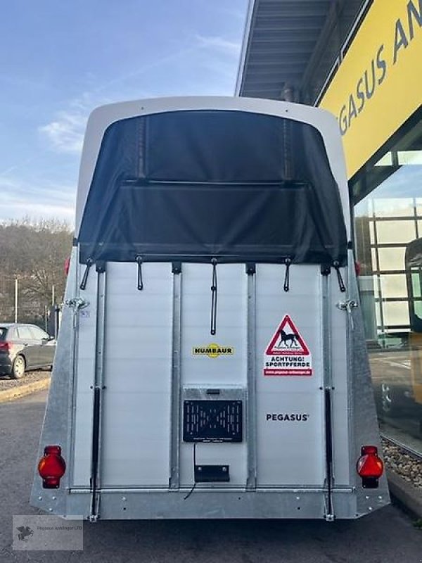 PKW-Anhänger типа Humbaur Pegasus 2-Pferdeanhänger 2.4t. SK !!NEU!!, Neumaschine в Gevelsberg (Фотография 4)