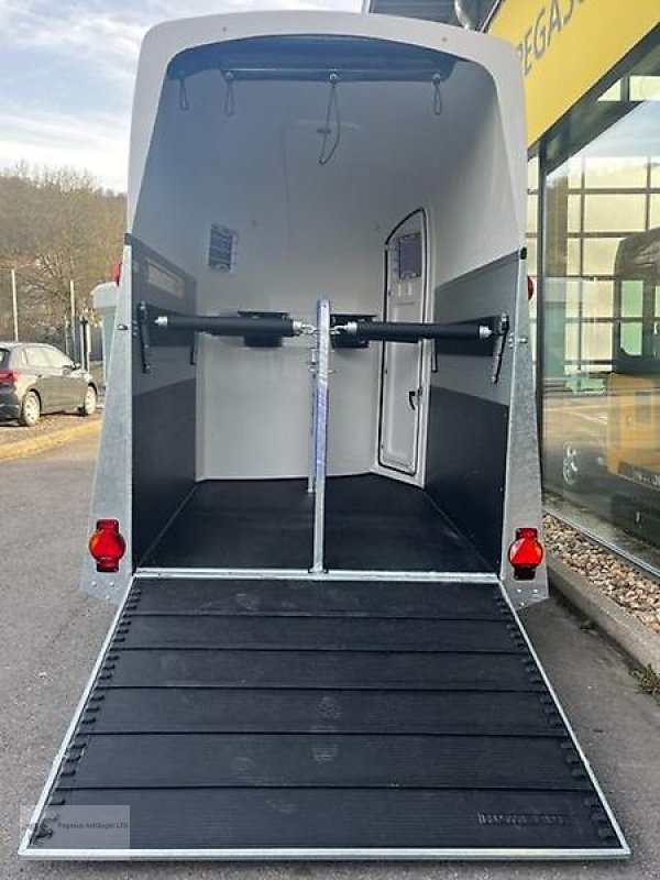 PKW-Anhänger типа Humbaur Pegasus 2-Pferdeanhänger 2.4t. SK !!NEU!!, Neumaschine в Gevelsberg (Фотография 5)