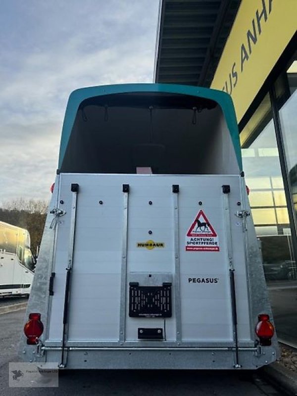 PKW-Anhänger van het type Humbaur Pegasus 2 Pferdeanhänger NEU 2,4t. D/S Klappe Panorama, Neumaschine in Gevelsberg (Foto 3)