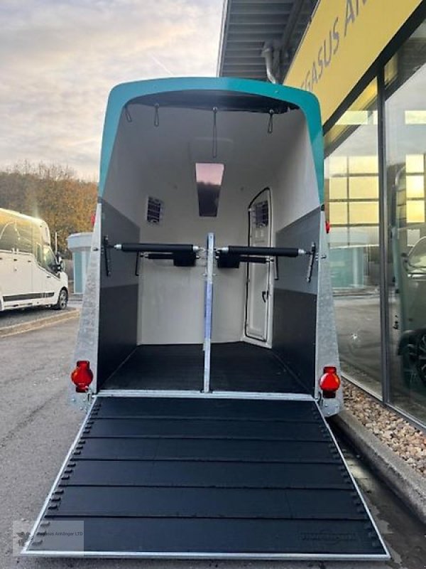 PKW-Anhänger του τύπου Humbaur Pegasus 2 Pferdeanhänger NEU 2,4t. D/S Klappe Panorama, Neumaschine σε Gevelsberg (Φωτογραφία 4)