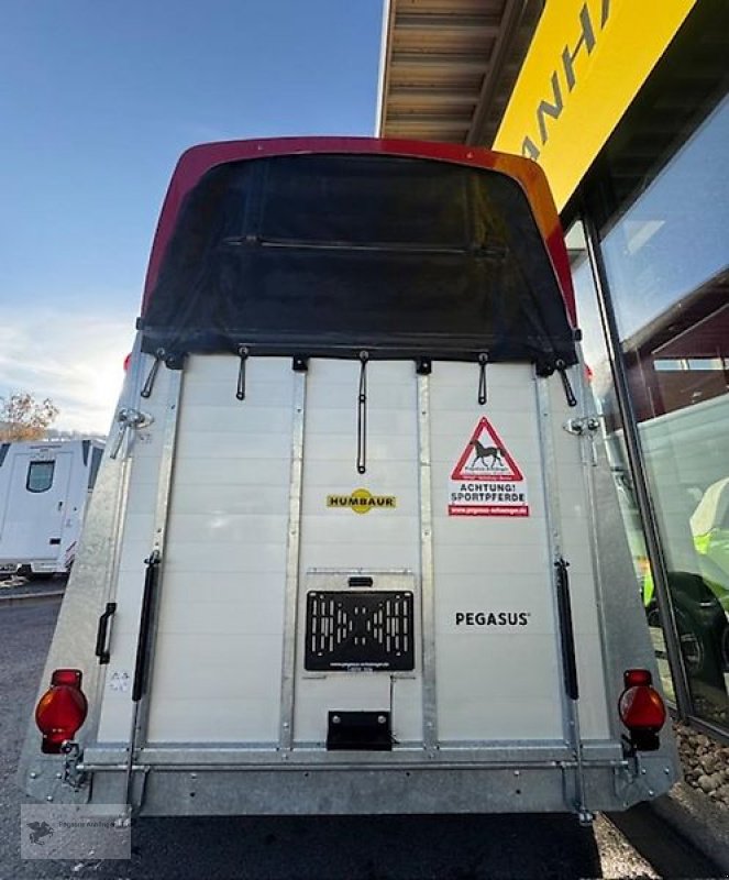 PKW-Anhänger des Typs Humbaur Pegasus 2 Pferdeanhänger NEU Dreh-Schwenkklappe ALU 2,4t, Neumaschine in Gevelsberg (Bild 3)
