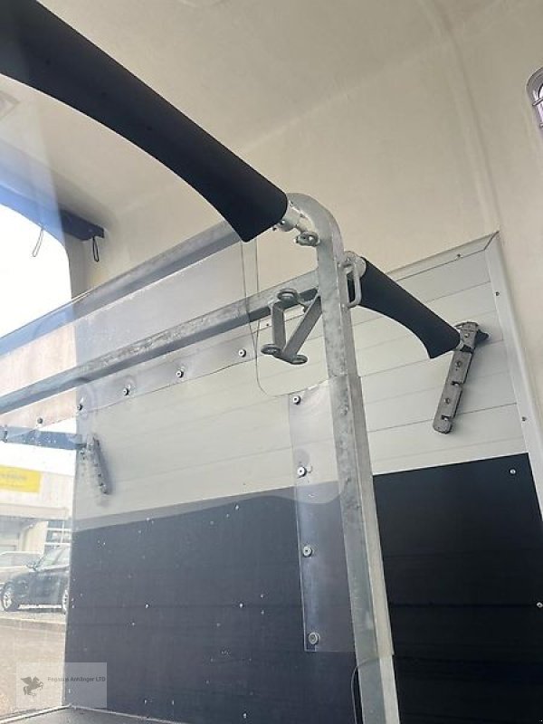 PKW-Anhänger des Typs Humbaur Pegasus 2 Pferdeanhänger NEU Panorama SK Alu 2,4t., Neumaschine in Gevelsberg (Bild 7)