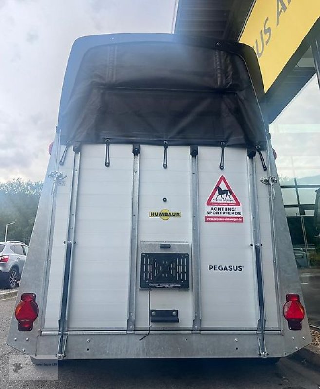 PKW-Anhänger типа Humbaur Pegasus 2 Pferdeanhänger NEU Panorama SK Alu 2,4t., Neumaschine в Gevelsberg (Фотография 4)