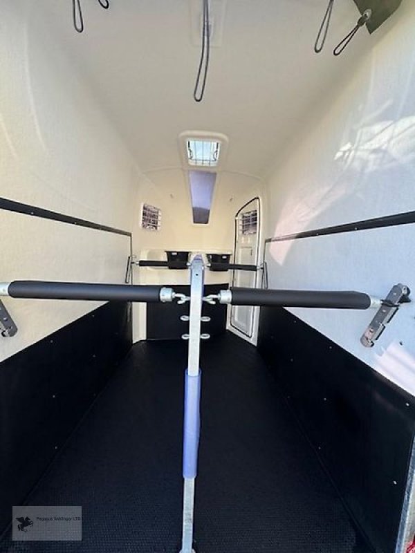 PKW-Anhänger za tip Humbaur Pegasus Style 2 Pferdeanhänger NEU 2,4t Panorama Western, Neumaschine u Gevelsberg (Slika 5)