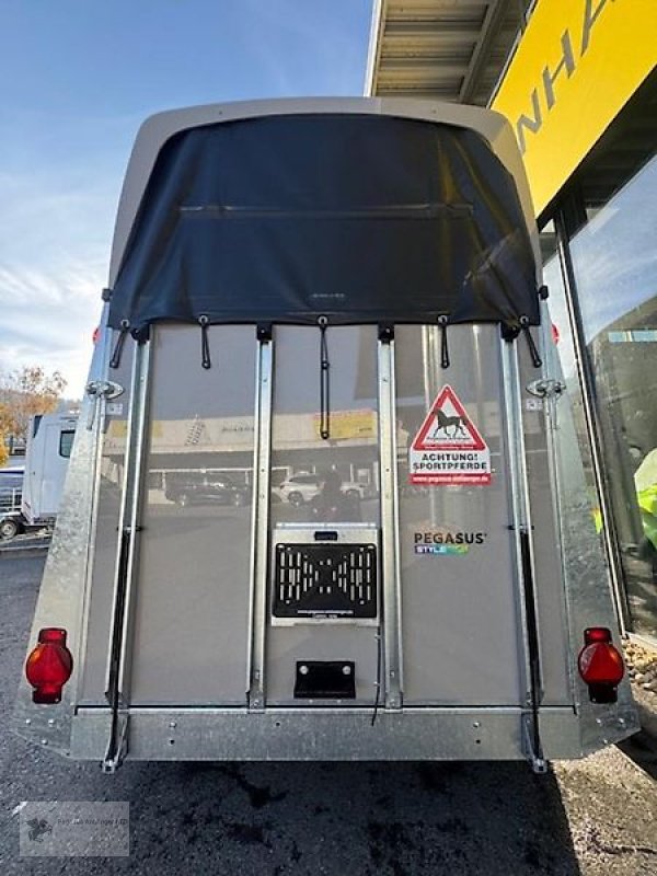 PKW-Anhänger za tip Humbaur Pegasus Style 2 Pferdeanhänger NEU 2,4t Panorama Western, Neumaschine u Gevelsberg (Slika 4)