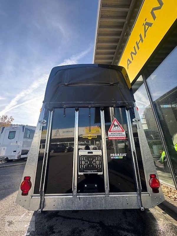 PKW-Anhänger Türe ait Humbaur Pegasus Style S 2,7t BLACK ED. 2 Pferdeanhänger NEU, Neumaschine içinde Gevelsberg (resim 3)