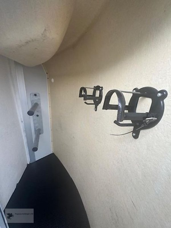 PKW-Anhänger des Typs Humbaur Rapid Plus 2-Pferdeanhänger Sattelkammer Holz/ Poly, Gebrauchtmaschine in Gevelsberg (Bild 7)