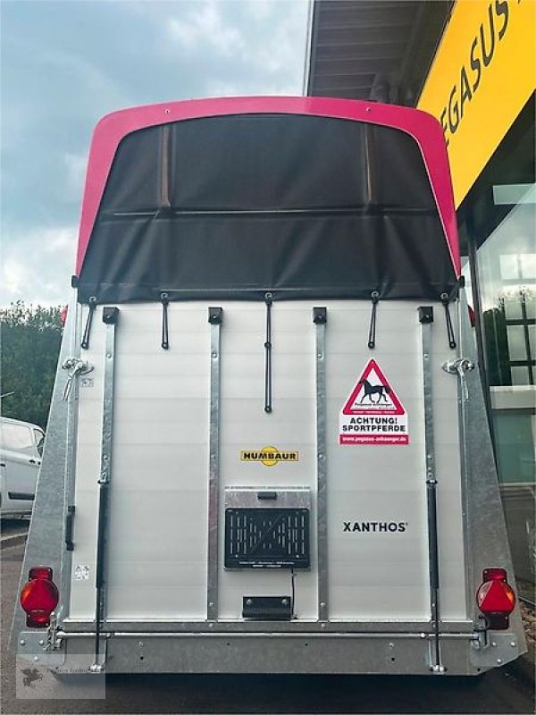 PKW-Anhänger типа Humbaur Xanthos 2-Pferdeanhänger 2,4t. DS Alu "magenta"-pink, Gebrauchtmaschine в Gevelsberg (Фотография 4)