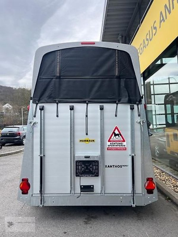 PKW-Anhänger del tipo Humbaur Xanthos Aero 2,4t 2-Pferdeanhänger Neu SK, Gebrauchtmaschine en Gevelsberg (Imagen 4)