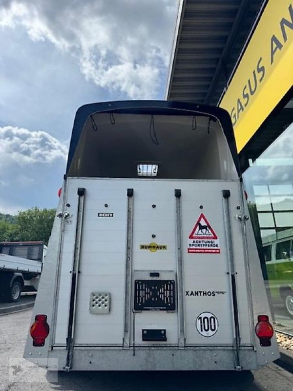 PKW-Anhänger des Typs Humbaur Xanthos Aero 2-Pferdeanhänger ALU 2,4t. 1. Hand, Gebrauchtmaschine in Gevelsberg (Bild 3)