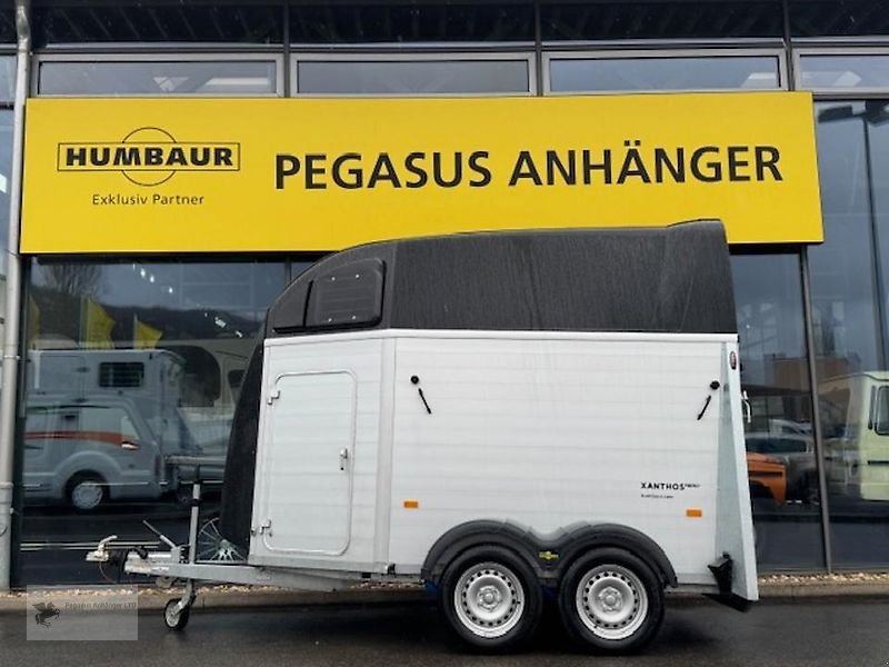 PKW-Anhänger des Typs Humbaur Xanthos Aero 2-Pferdeanhänger EZ:2025 1.Hd Alu 2,4t., Gebrauchtmaschine in Gevelsberg (Bild 1)