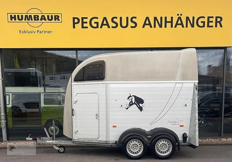 PKW-Anhänger des Typs Humbaur Xanthos Aero Pferdeanhänger 2,4t ALU 1. Hand SK, Gebrauchtmaschine in Gevelsberg (Bild 1)