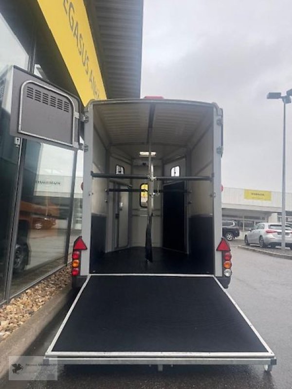 PKW-Anhänger van het type Ifor Williams HB 506 2-Pferdeanhänger 2,6t FRONTAUSSTIEG, Gebrauchtmaschine in Gevelsberg (Foto 5)