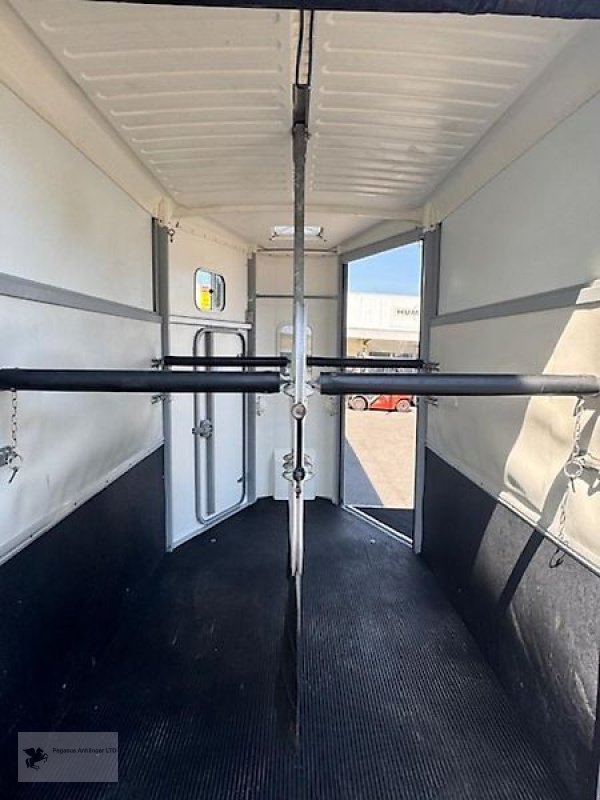 PKW-Anhänger des Typs Ifor Williams HB 506 2 Pferdeanhänger FRONTAUSSTIEG, Gebrauchtmaschine in Gevelsberg (Bild 7)