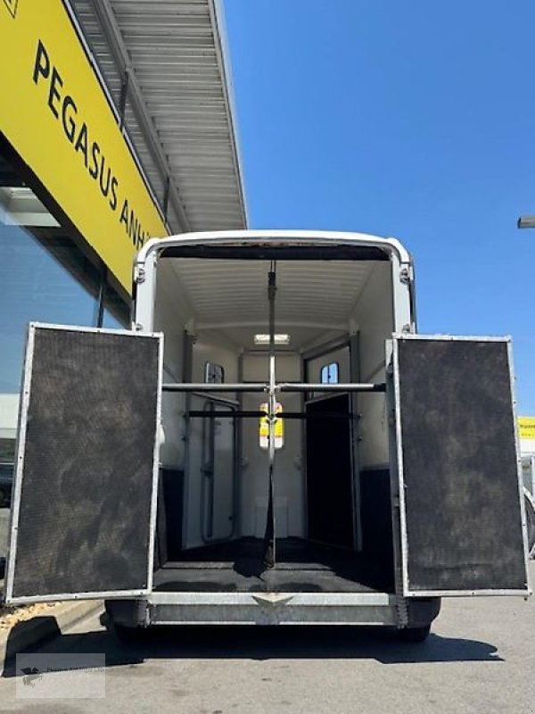 PKW-Anhänger des Typs Ifor Williams HB 506 2 Pferdeanhänger FRONTAUSSTIEG, Gebrauchtmaschine in Gevelsberg (Bild 5)