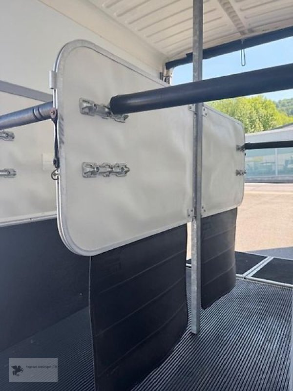 PKW-Anhänger des Typs Ifor Williams HB 506 2 Pferdeanhänger FRONTAUSSTIEG, Gebrauchtmaschine in Gevelsberg (Bild 8)