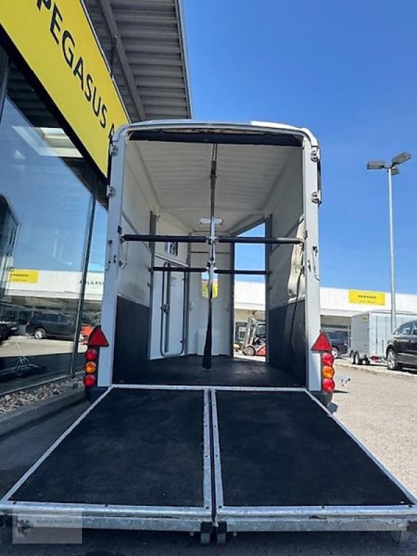 PKW-Anhänger des Typs Ifor Williams HB 506 2 Pferdeanhänger FRONTAUSSTIEG, Gebrauchtmaschine in Gevelsberg (Bild 6)