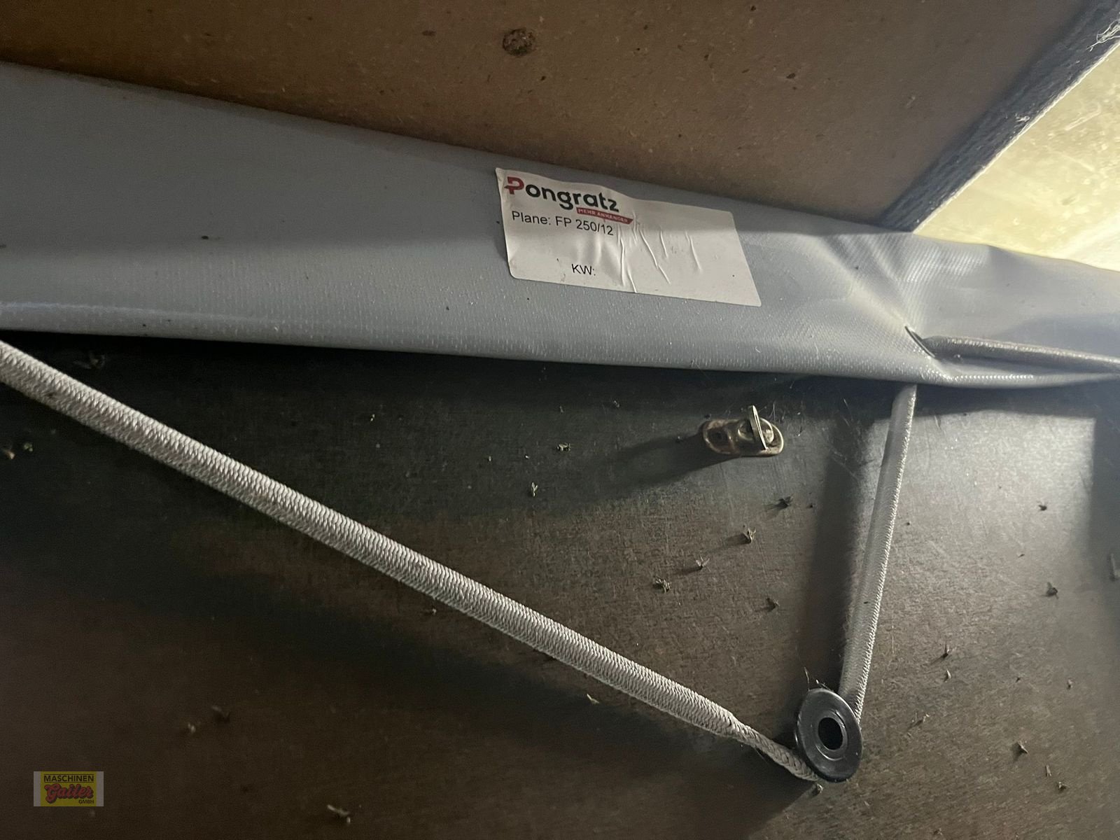 PKW-Anhänger of the type Pongratz EPA 250/12 T-STK Bärenstark, Gebrauchtmaschine in Kötschach (Picture 5)