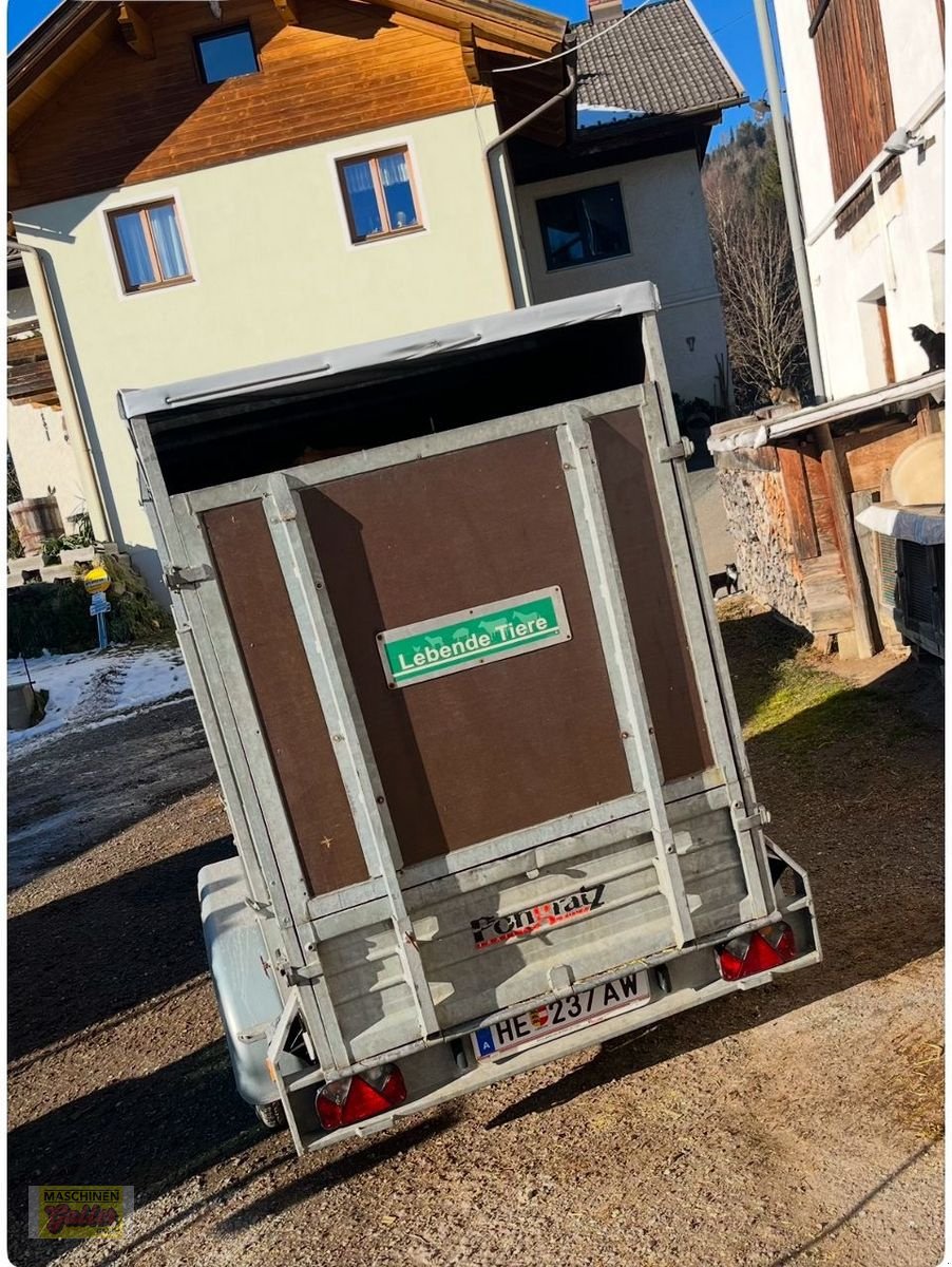 PKW-Anhänger of the type Pongratz EPA 250/12 T-STK Bärenstark, Gebrauchtmaschine in Kötschach (Picture 2)