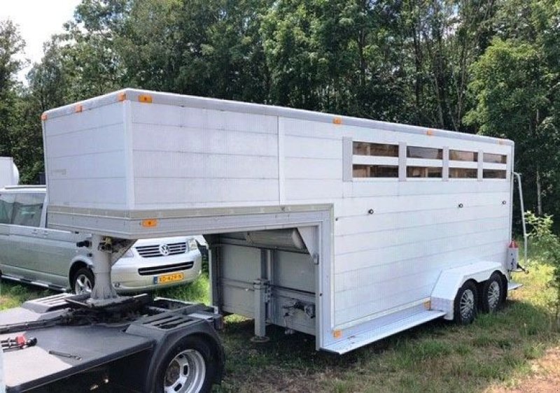 PKW-Anhänger typu Sonstige Be Oplegger Noyens 5100 kg Be Oplegger Noyens 5100 kg Aluminium paardentrailer BE, Gebrauchtmaschine v Putten (Obrázek 3)