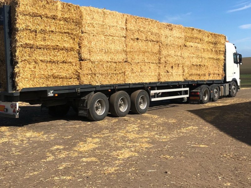 PKW-Anhänger des Typs Sonstige Halmtrailer, Gebrauchtmaschine in Skærbæk (Bild 1)