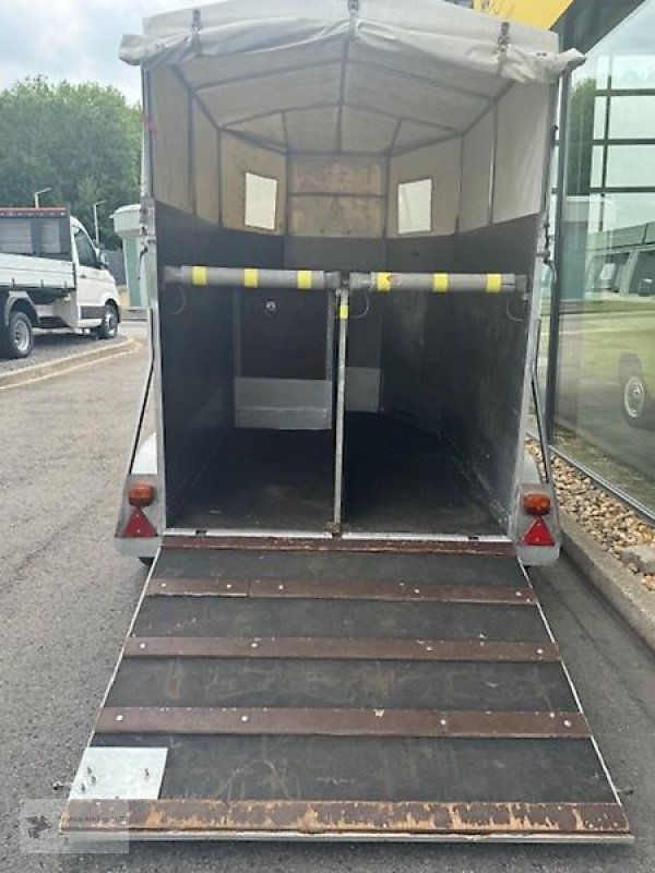 PKW-Anhänger des Typs Sonstige Homar Alu Pony Pferdeanhänger Islandanhänger Shettyanhänger 1,3., Gebrauchtmaschine in Gevelsberg (Bild 2)