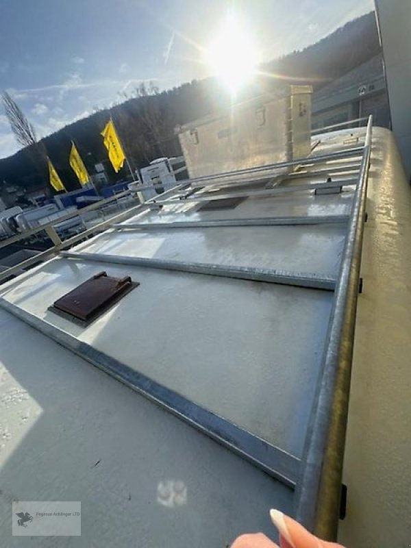 PKW-Anhänger des Typs Sonstige Oblic +3 Pferdeanhänger Frontausstieg Vollpoly 3,5t, Gebrauchtmaschine in Gevelsberg (Bild 11)