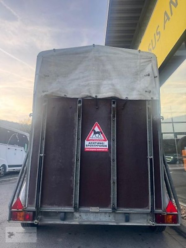 PKW-Anhänger del tipo Sonstige Pferdeanhänger 2t. Holz/ Plane Viehanhänger Böckmann, Gebrauchtmaschine en Gevelsberg (Imagen 3)
